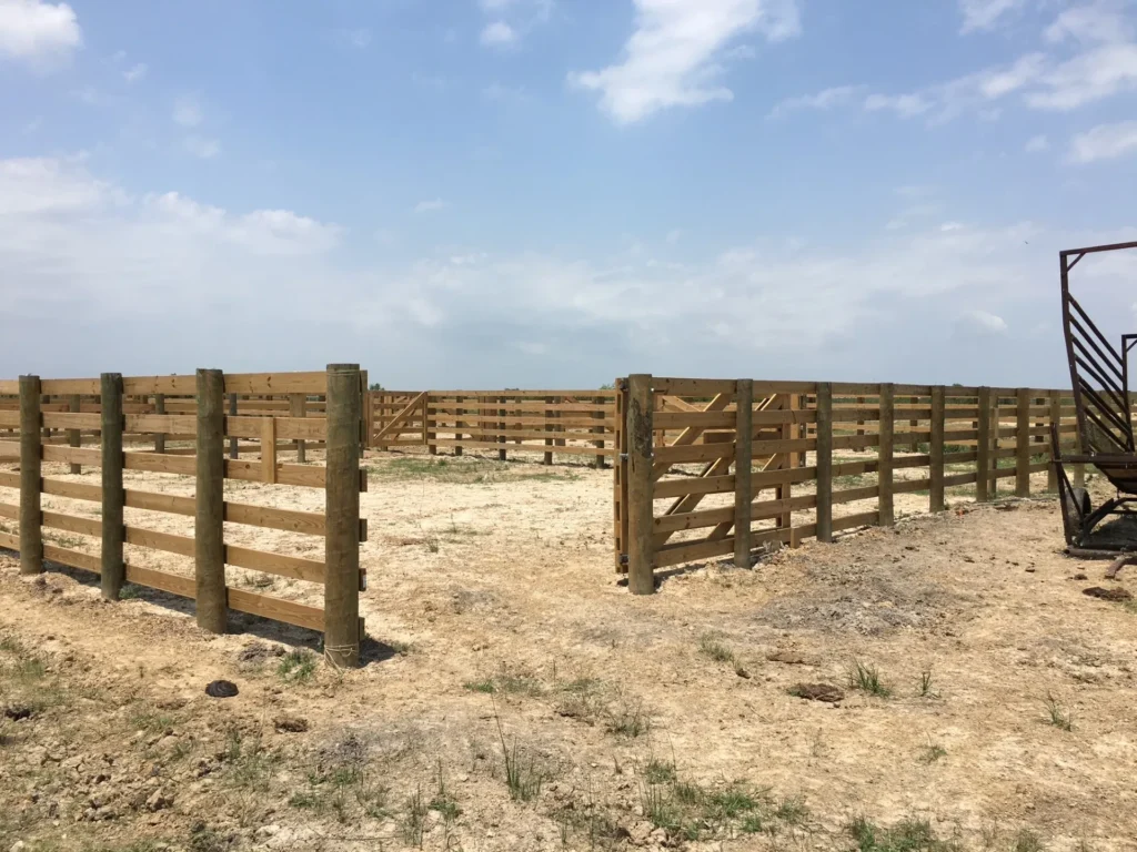 christopher d smith cattle paddock system aransas nwr