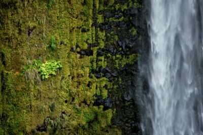 Akaka Falls