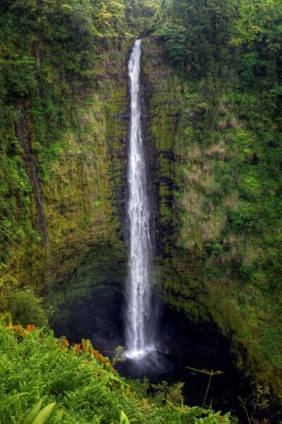 Full View of Akaka Falls
