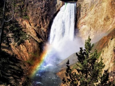 Lower Falls of Yellowstone