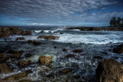 Sharks Cove