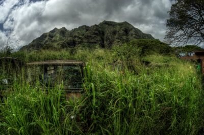 The Base of Kualoa Valley