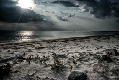 Undisturbed Serenity at the Chesapeake Bay