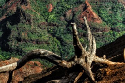 Waimea Canyon